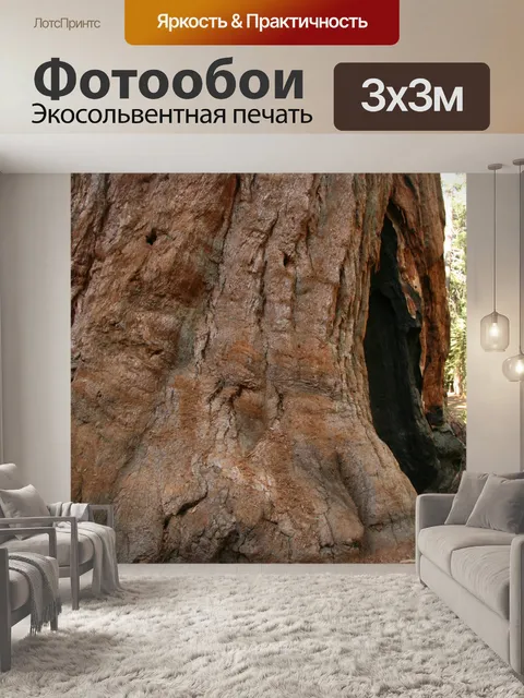 Фотообои Гигантские секвойи в Йосемити