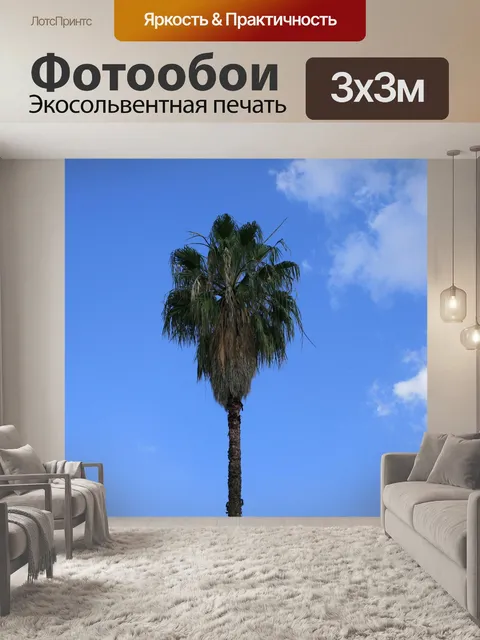 Фотообои пальмовое дерево на фоне неба