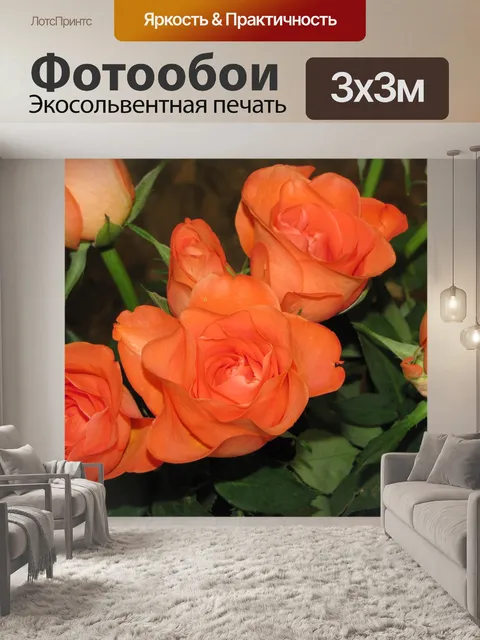 Фотообои Красные розы