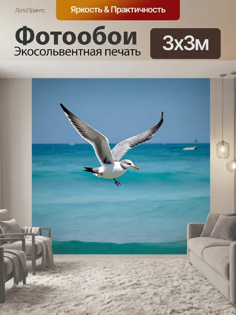 Фотообои чайка, летящая над голубым морем