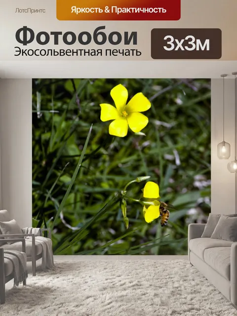 Фотообои Желтые цветы и пчелы