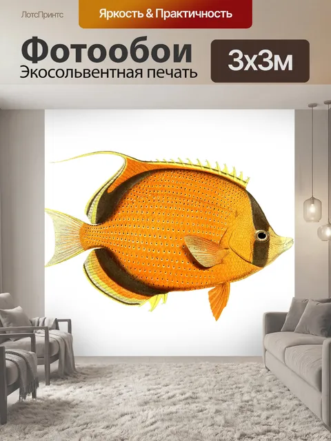 Фотообои Рыба-бабочка Винтажное искусство