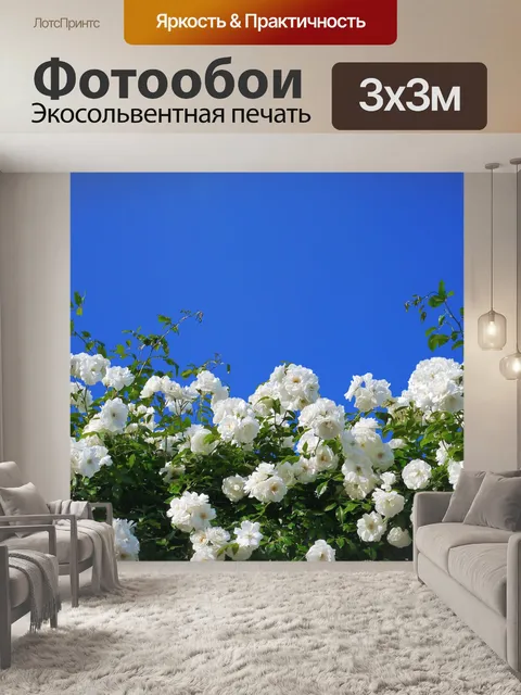 Фотообои Белые розы голубое небо