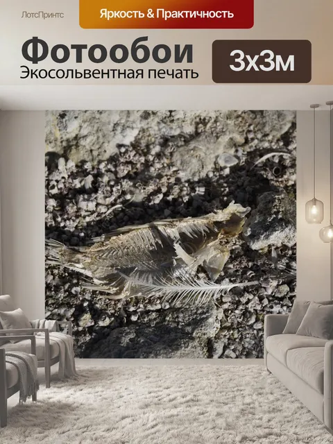 Фотообои Ласты и перья