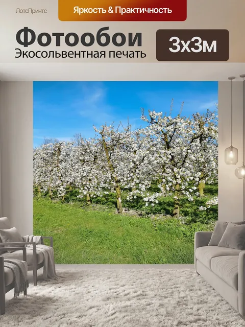 Фотообои Цветение вишни