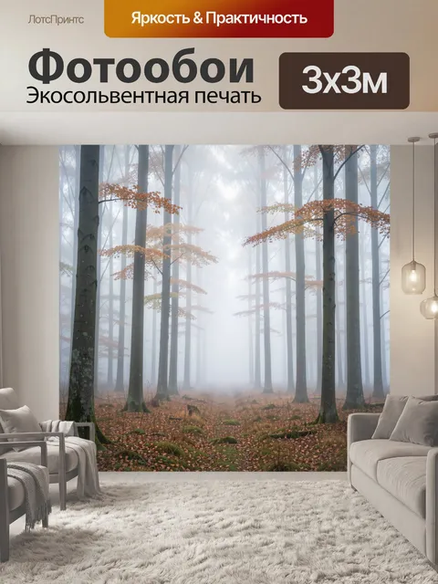 Фотообои Туманный осенний лес