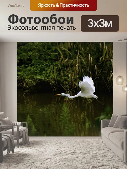 Фотообои Животное