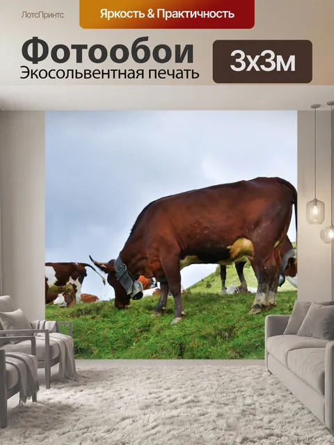 Фотообои Коровы, Альпы, колокольчик