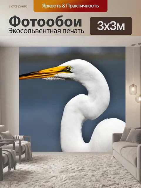 Фотообои Белая цапля