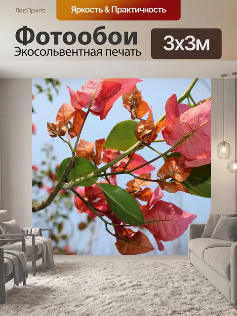Фотообои Розовый лист
