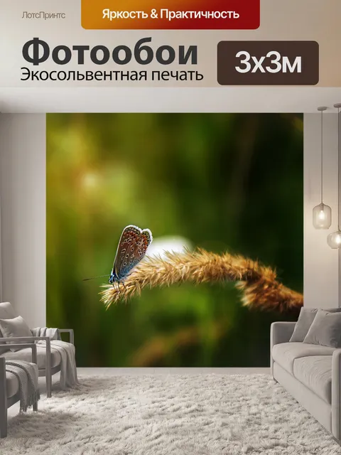 Фотообои Бабочка