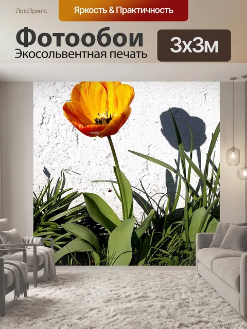 Фотообои Тюльпан
