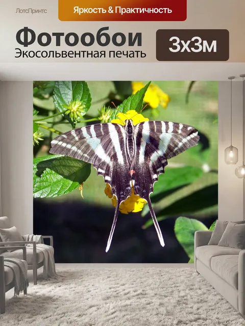 Фотообои Бабочка на желтыми цветами