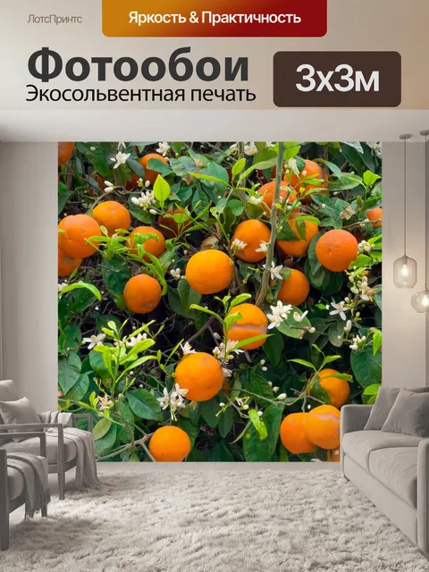 Фотообои Цветение апельсинового дерева