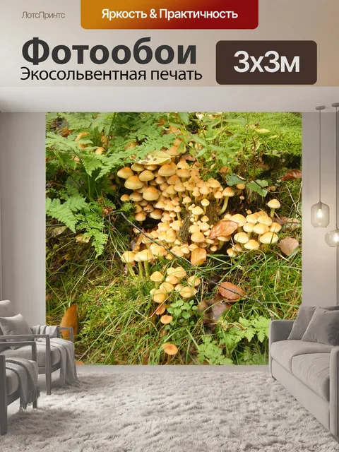 Фотообои Серные головы