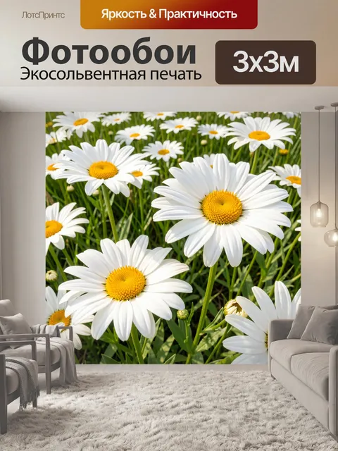 Фотообои Ромашковое поле крупным планом