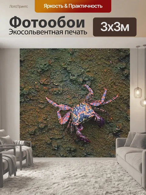 Фотообои краб на поверхности скалы
