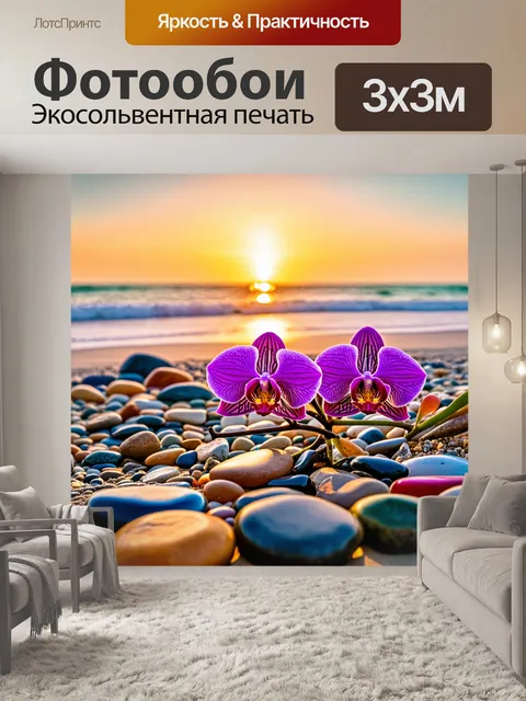 Фотообои орхидея, растущая среди красочных камней на пляже при закате