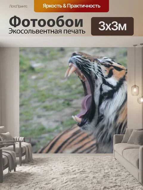 Фотообои Природа