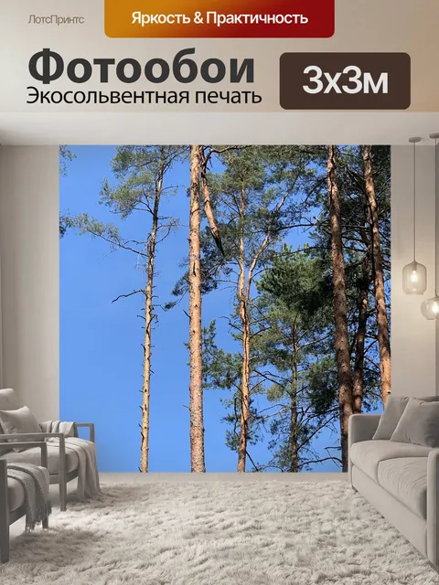 Фотообои Голубое небо