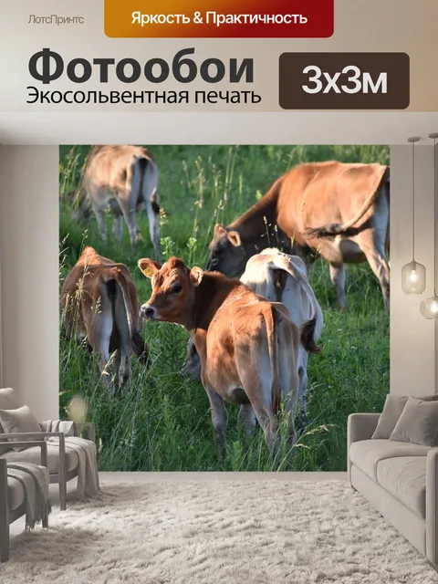 Фотообои Коровы