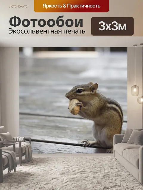 Фотообои Бурундук