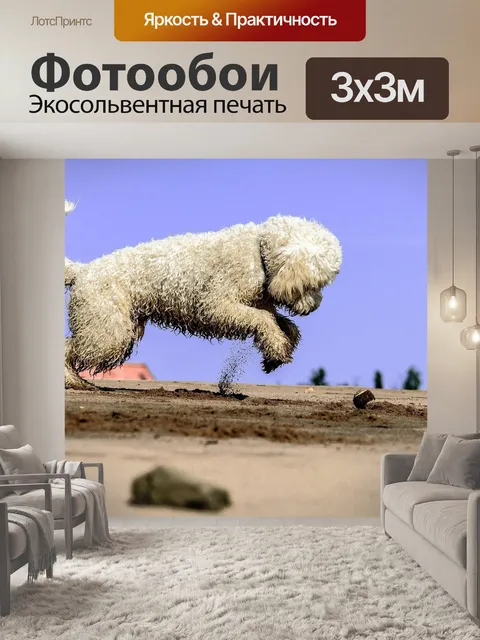 Фотообои Золотой каракули