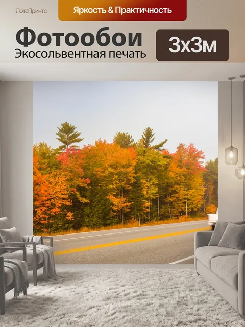 Фотообои Осенняя дорога