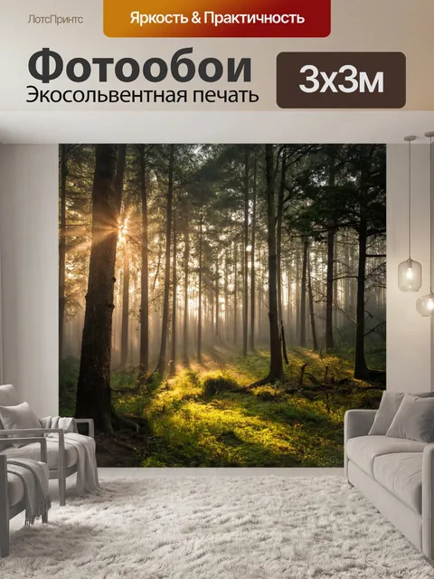 Фотообои лес в утреннем свете