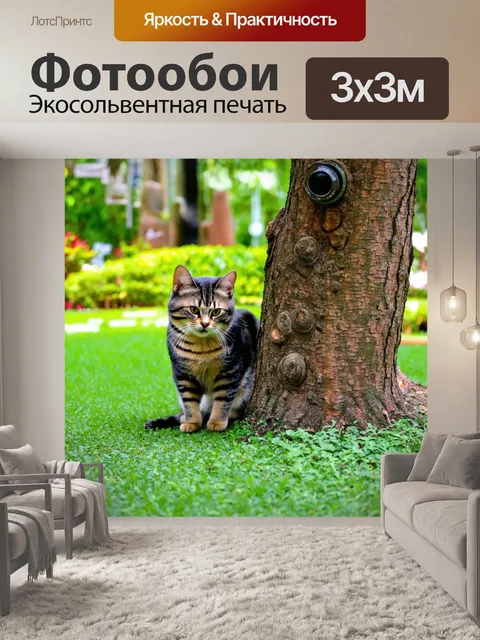 Фотообои кошки, ухаживающие за деревьями в ботаническом саду