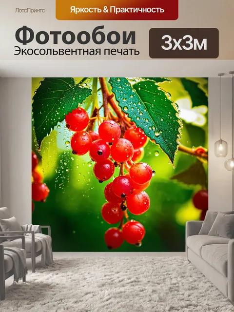 Фотообои Крупный план спелых красных смородин, покрытых капельками воды, на фоне зеленых листьев