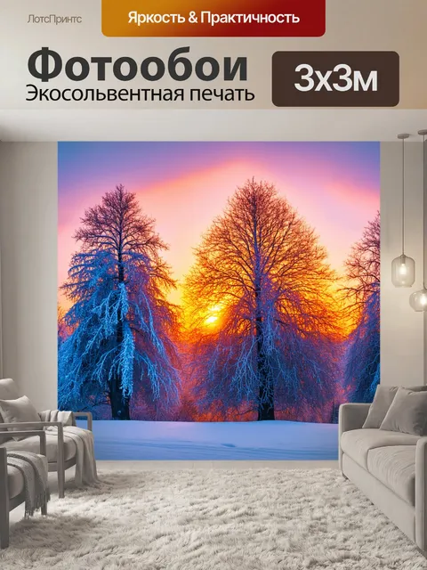 Фотообои замерзшие деревья на восходе солнца, когда яркие цвета постепенно наполняют небо