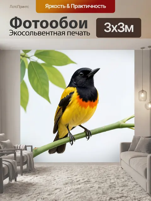 Фотообои Яркая птица на ветке