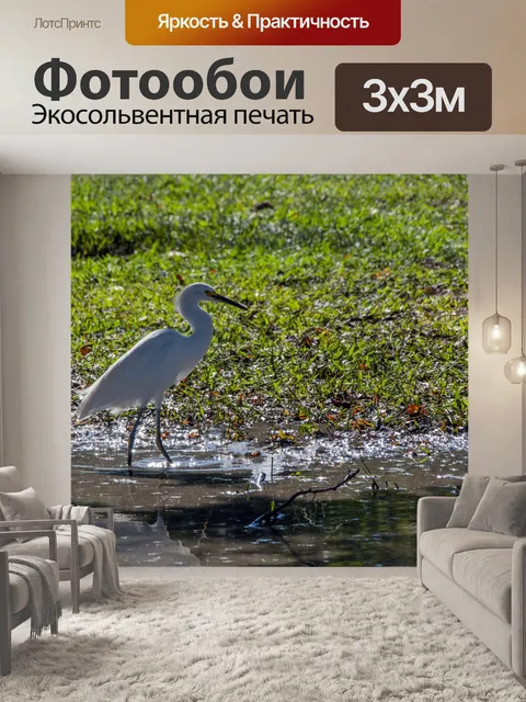 Фотообои Большая белая цапля