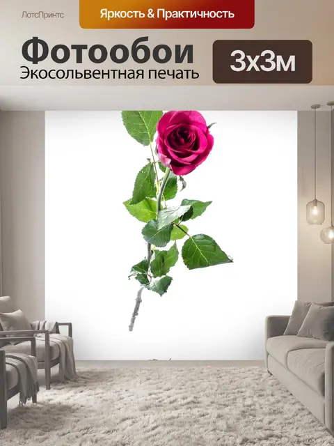 Фотообои Цветок