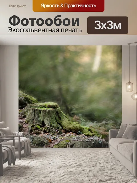 Фотообои Волшебный лес