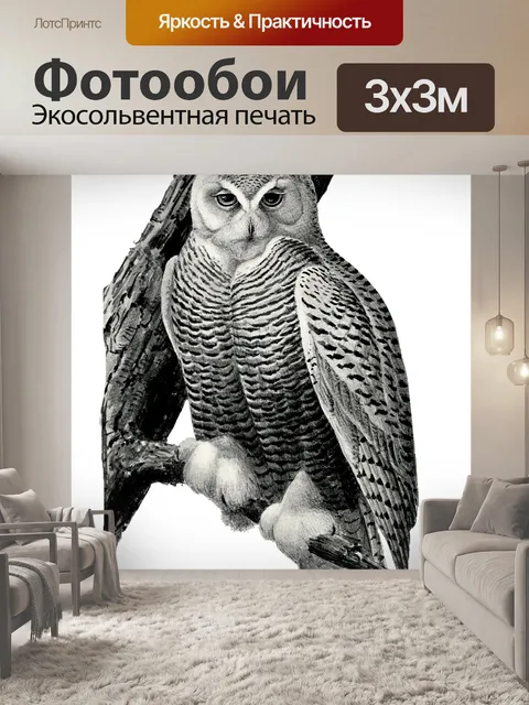 Фотообои Снежная Сова