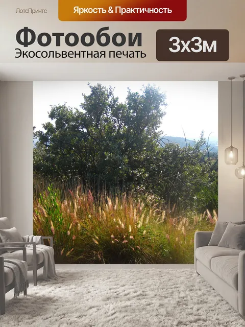 Фотообои шлейфы семян диких трав
