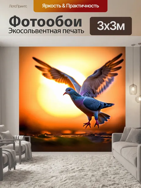 Фотообои крупный план голубя, расправляющего свои перья на фоне заката, с яркими отражениями света на оперении