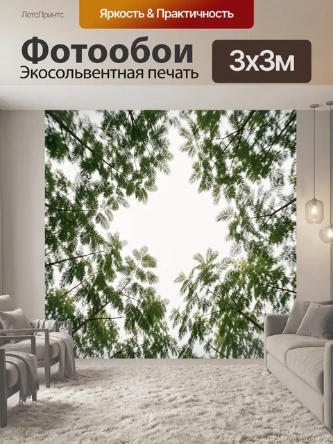 Фотообои Кроны деревьев снизу вверх