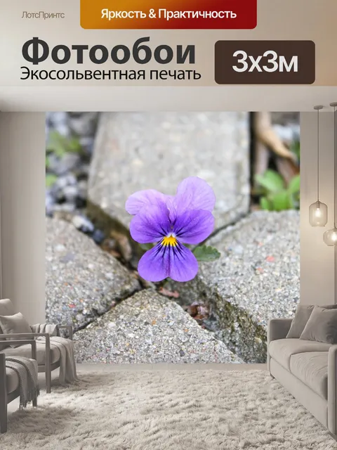 Фотообои Город