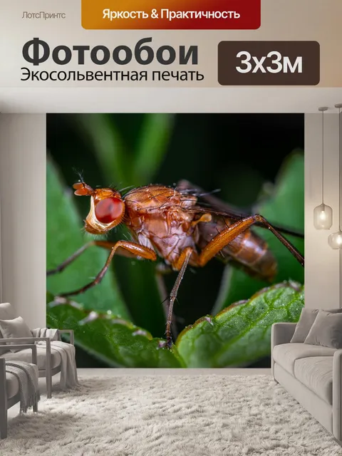 Фотообои Макро