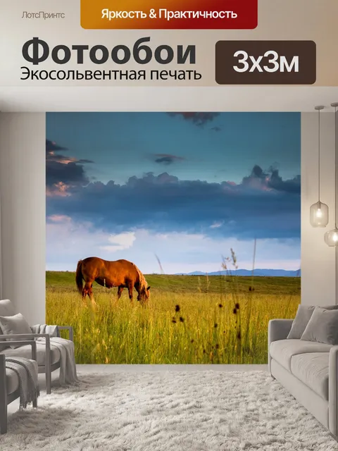 Фотообои Лошадь