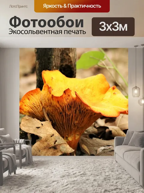 Фотообои Джек-О-фонарь Гриб крупным планом