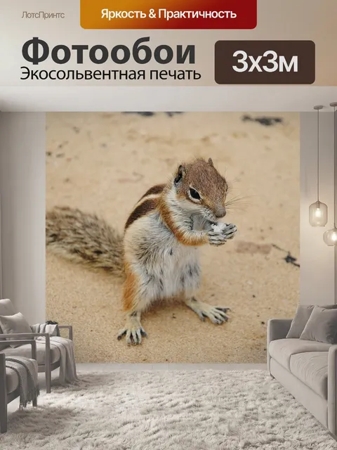 Фотообои Бурундук