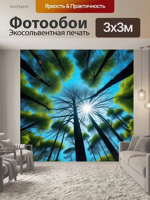 Фотообои солнце, прорывающееся через верхушки деревьев