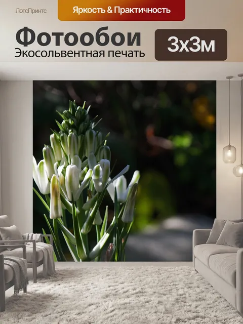 Фотообои головка цветка нераскрытых бутонов