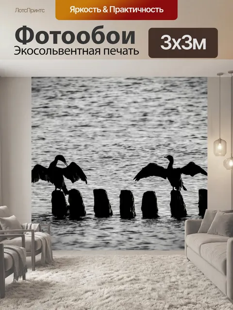 Фотообои Баклан