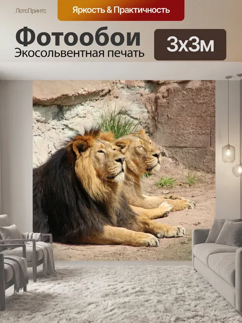 Фотообои Лев