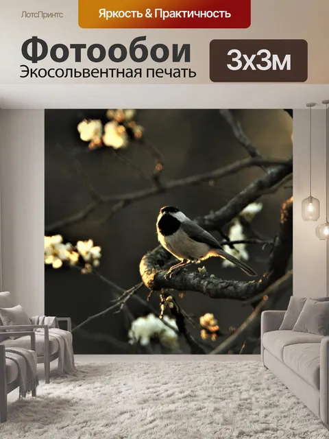 Фотообои Каролина Чикади весной